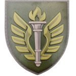 Шеврон ЗСУ 199 навчальний центр, MultiCam