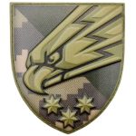 Шеврон ЗСУ 25 окрема повітряно-десантна бригада, Піксель