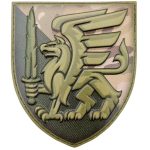 Шеврон ЗСУ 81 окрема аеромобільна бригада, MultiCam