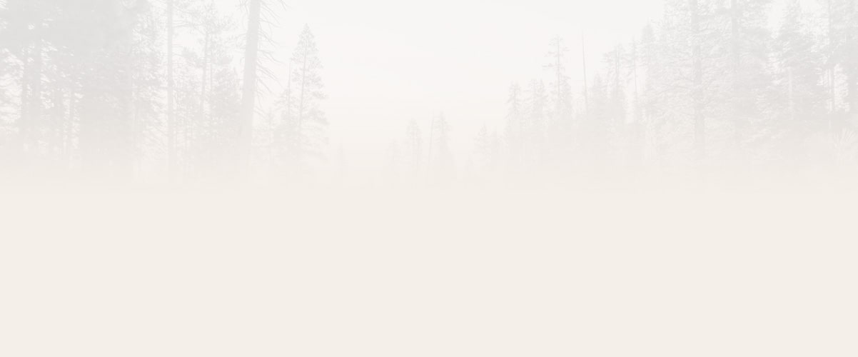 Інтернет-магазин тактичного спорядження 12 camping category background » Rechovyk